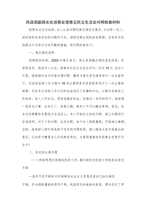 民政局副局长在巡察反馈意见民主生活会对照检查材料.docx