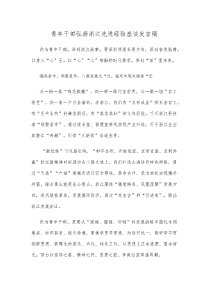青年干部弘扬浙江先进经验座谈发言稿.docx