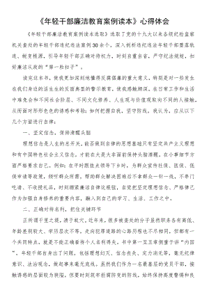《年轻干部廉洁教育案例读本》心得体会（3篇）.docx