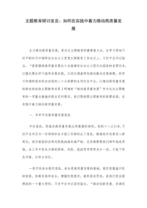 主题教育研讨发言：如何在实践中着力推动高质量发展.docx