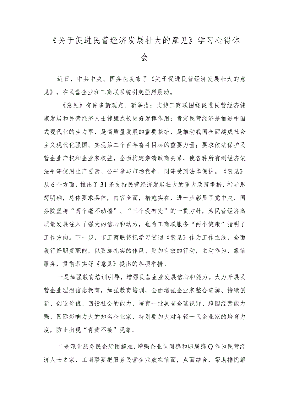 (2篇)《最高人民法院关于优化法治环境促进民营经济发展壮大的指导意见》心得体会.docx_第3页