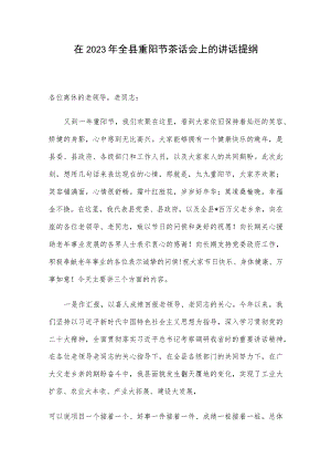 在2023年全县重阳节茶话会上的讲话提纲.docx