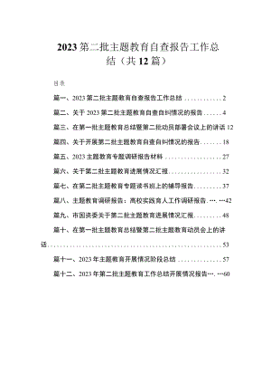2023第二批主题教育自查报告工作总结（共12篇）.docx