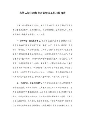 市第二批主题教育开展情况工作总结报告.docx