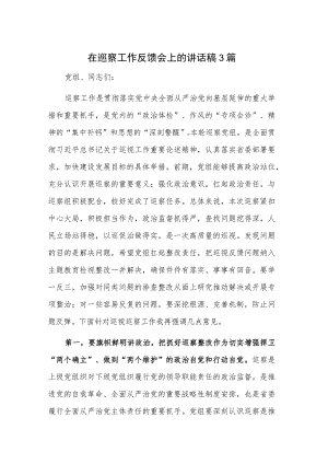 在巡察工作反馈会上的讲话稿3篇.docx
