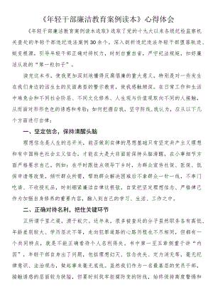 《年轻干部廉洁教育案例读本》心得体会（3篇）.docx