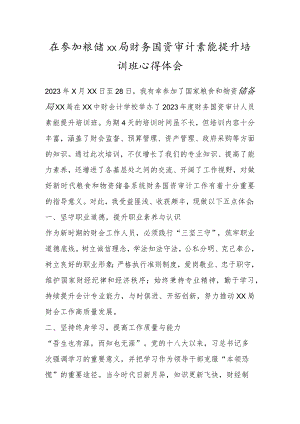 在参加粮储XX局财务国资审计素能提升培训班心得体会.docx