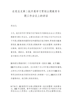 在党总支第二批开展学习贯彻主题教育专题工作会议上的讲话.docx
