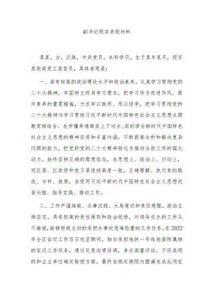 副书记现实表现材料.docx