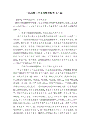 干部选拔任用工作情况报告【八篇】.docx