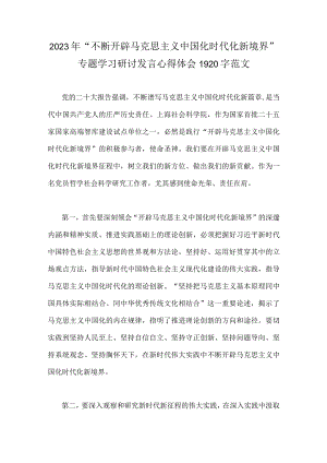 2023年“不断开辟马克思主义中国化时代化新境界”专题学习研讨发言心得体会1920字范文.docx
