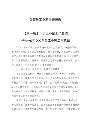 （3篇）职工小家自查报告.docx