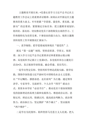 主题教育工作阶段性总结汇报.docx