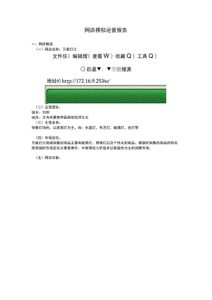 网店模拟运营报告.docx