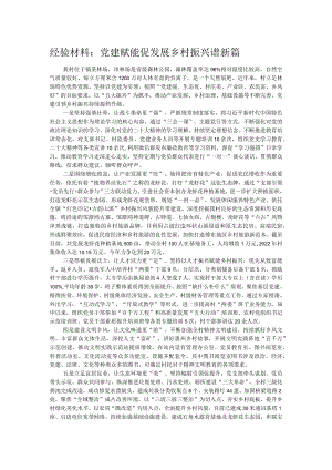经验材料：党建赋能促发展 乡村振兴谱新篇.docx