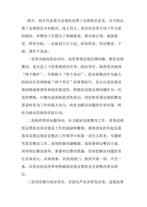 县委书记在被巡视党组织主要负责人反馈会议上的表态发言.docx