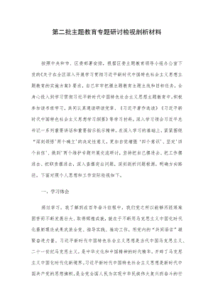 第二批主题教育专题研讨检视剖析材料.docx