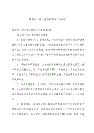 营业员一周工作总结范文（20篇）.docx