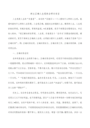 树立正确人生观体会研讨发言.docx