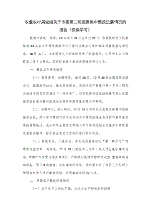 农业农村局党组关于市委第二轮巡察集中整改进展情况的报告.docx