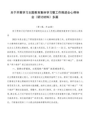 关于开展学习主题教育集体学习暨工作推进会心得体会（研讨材料）多篇.docx