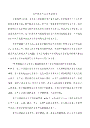 统筹发展与安全体会发言.docx