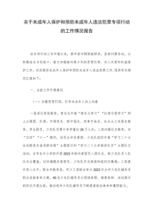 关于未成年人保护和预防未成年人违法犯罪专项行动的工作情况报告.docx