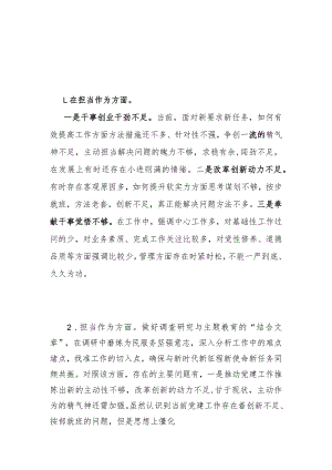 2024年主题教育专题民主组织生活会“担当作为”方面存在问题清单20条.docx