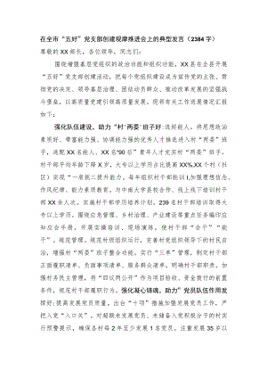 在全市“五好”党支部创建观摩推进会上的典型发言.docx