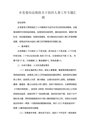 乡党委向巡视组关于组织人事工作专题汇报.docx