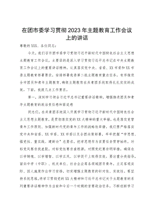 在团市委2023年主题教育工作会议上的讲话.docx