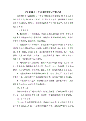 统计局政务公开标准化规范化工作总结.docx