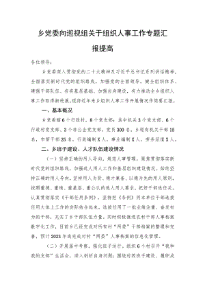 乡党委向巡视组关于组织人事工作专题汇报提高.docx