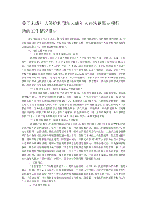 关于未成年人保护和预防未成年人违法犯罪专项行动的工作情况报告.docx