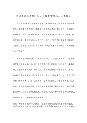 学习在江西考察时对主题教育重要指示心得体会.docx