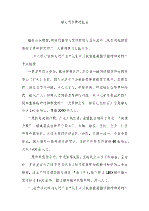 学习贯彻情况报告.docx