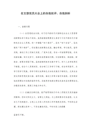 在支部党员大会上的自我批评、自我剖析.docx