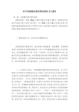 关于巡查整改落实情况报告【六篇】.docx