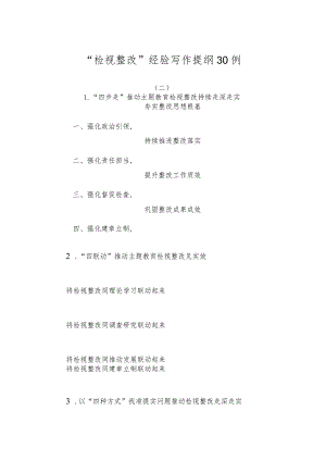 “检视整改”经验写作提纲30例（二）.docx