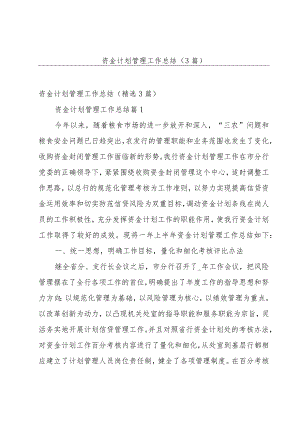 资金计划管理工作总结（3篇）.docx
