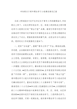 市妇联关于青年理论学习小组建设情况汇报.docx