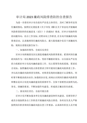 审计局2023廉政风险排查防控自查报告.docx