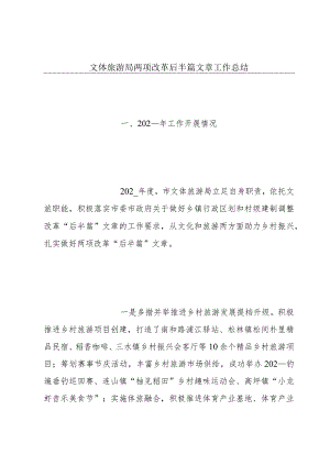 文体旅游局两项改革后半篇文章工作总结.docx