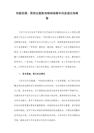 专题党课：贯彻主题教育精神 扬青年风采 谱无悔青春.docx