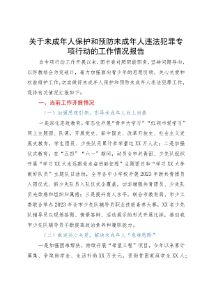 关于未成年人保护和预防未成年人违法犯罪专项行动的工作情况报告.docx