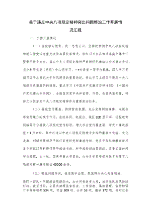 关于违反中央八项规定精神突出问题整治工作开展情况汇报.docx