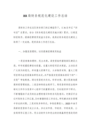 XX局财务规范化建设工作总结.docx