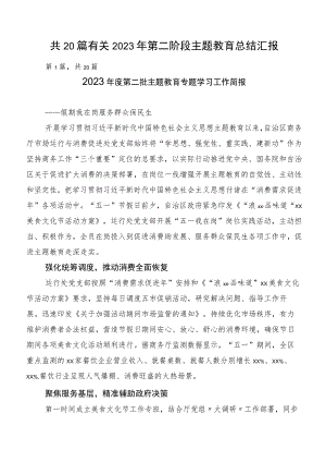 共20篇有关2023年第二阶段主题教育总结汇报.docx