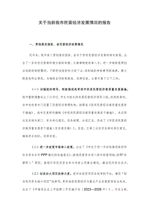 关于当前我市民营经济发展情况的报告.docx