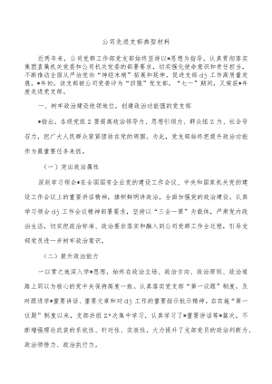 公司先进支部典型材料.docx